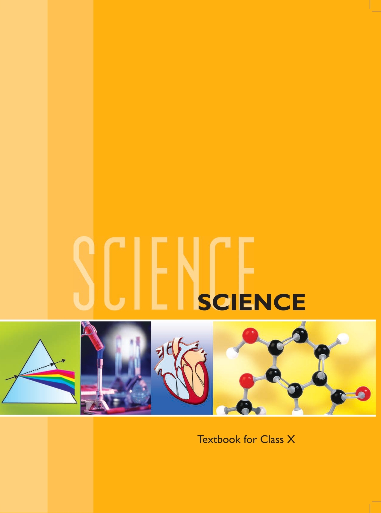 NCERT Class 10 Science