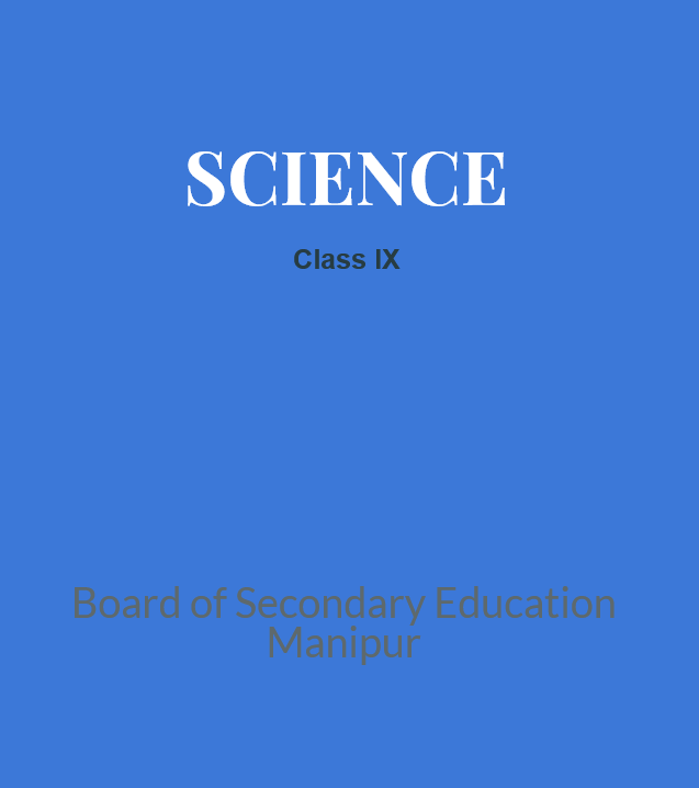 BOSEM Class IX Science